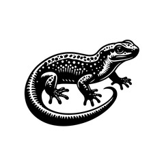 Obraz premium A detailed black and white illustration of a lizard
