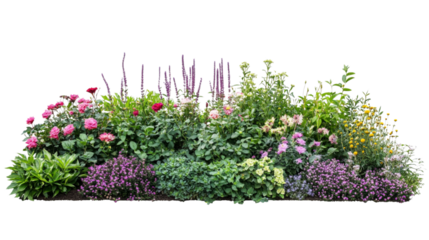 Lush garden bed with flowers isolated on transparent background