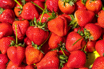 Juicy Ripe Strawberry Close-Up at Farmers Market