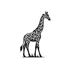 A striking black and white silhouette of a giraffe