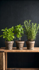 Rustic Potted Herbs on Wooden Shelf Against Dark Background
