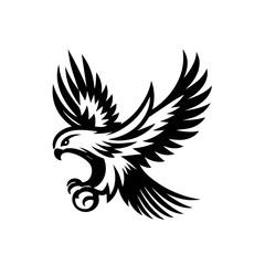 Fototapeta premium A black eagle in flight with wings spread wide