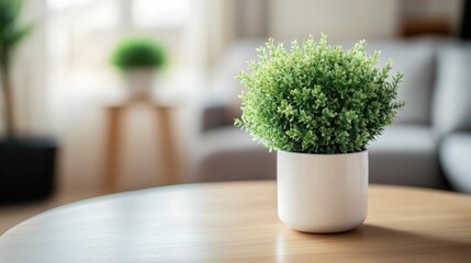 Attractive indoor plant enhances cozy living space