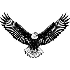 Obraz premium Majestic Bald Eagle Flying Vector Illustration in Rustic Woodcut Style, Vintage Engraved Bird of Prey Artwork