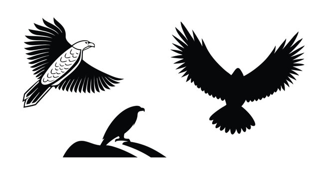 Three different silhouettes of eagles depicted in black and white for symbolic representation and design purposes