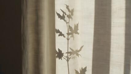 Leaf Shadow on Beige Curtain
