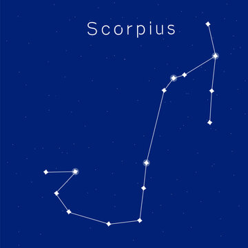 アートフレーム　ホロスコープ　蠍座　絵画 アートフレーム ホロスコープ 蠍座 絵画 アートフレーム