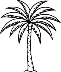 Fototapeta premium Pindo palm hand drawn outline in vintage botanical style detailed tropical foliage vector illustration, Pindo palm vintage botanical line art, Tropical palm tree vintage sketch, Elegant botanical palm