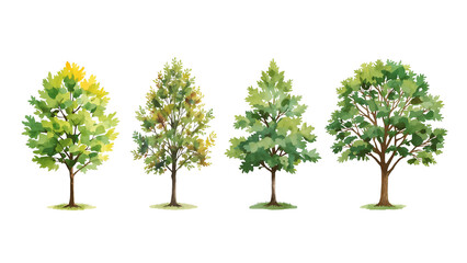 Diverse arboreal watercolor collection on transparent providing design versatility for natural