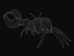 A 3D wireframe model of a hermit crab stands out against a black background, showcasing intricate details of its shell and claws. The realistic rendering highlights the creature's segmented body. © German Ovchinnikov