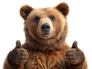  Brown bear giving thumbs up on white background,PNG.AI Generated.