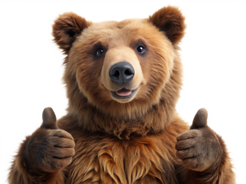  Brown bear giving thumbs up on white background,PNG.AI Generated.