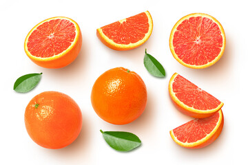 set of pink grapefruit isolated	