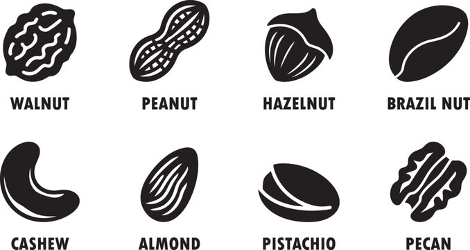 Set of Nut Icons with Names in Bold Black Silhouettes
