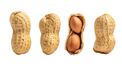 Abundant harvest of peanuts, a closeup look at the textured shells and earthy tones.