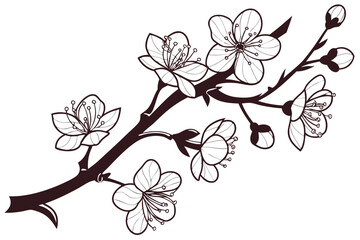 Cherry blossom branch minimal and decorative silhouette.