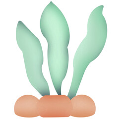 Seaweed-green algae