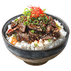 Japanese Beef Bowl: A delectable serving of perfectly cooked white rice is topped with tender slices of savory beef and vibrant garnishes, a mouthwatering depiction of a culinary delight.
