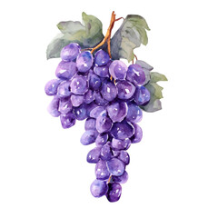 Watercolor Grape Cluster: A vibrant watercolor illustration of a luscious grape cluster, bursting with the rich, saturated colors and textures of the fruit.