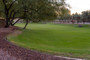 Water sprinkler in the garden. Sprinkler irrigation system in the park