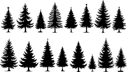 Fototapeta premium : Pine Tree Trio vector bundle