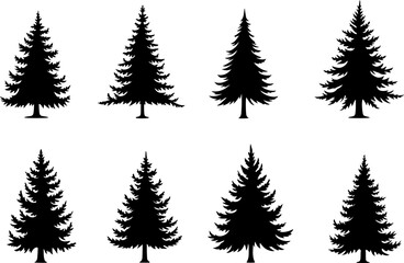 Fototapeta premium : Pine Tree Trio vector bundle