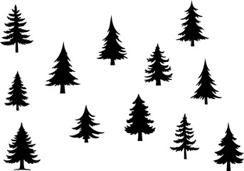 Fototapeta premium : Pine Tree Trio vector bundle