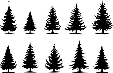 Naklejka premium : Pine Tree Trio vector bundle