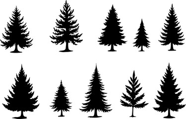 : Pine Tree Trio vector bundle