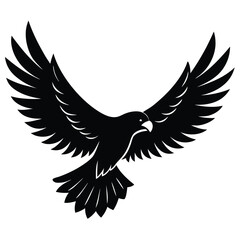 Soaring Eagle Illustration