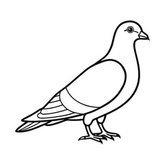 Simple line drawing of a pigeon standing on a white background