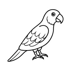 Simple line drawing of a parrot
