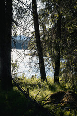 Fototapeta premium Großer Fluss in Nordschweden 