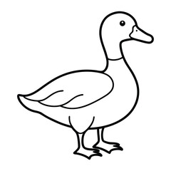 Simple outline drawing of a duck standing