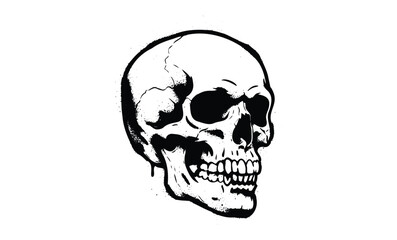 Obraz premium Detailed black and white skull illustration with cracks and shadows. Vector retro hand drawn illustration