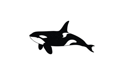 Fototapeta premium Black and white orca illustration with minimalist design. Vector retro hand drawn illustration