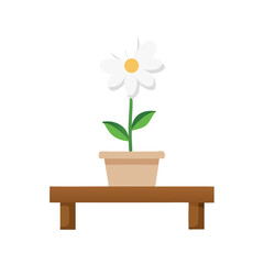 Fototapeta premium flowers in a pot
