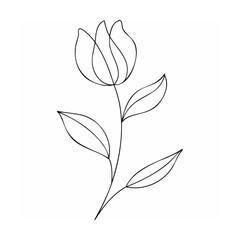 Elegant single line flower with leaves bloom petal