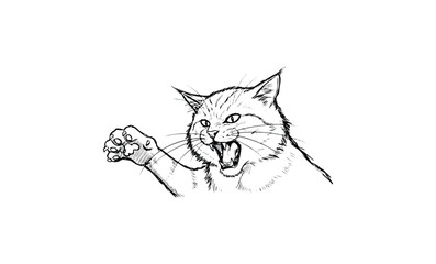 Obraz premium Sketch of a fierce cat with outstretched claw and open mouth. Vector retro hand drawn illustration
