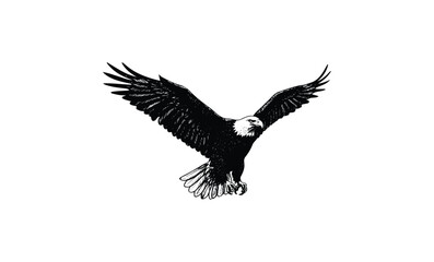 Obraz premium Black and white bald eagle illustration with outstretched wings. Vector retro hand drawn illustration
