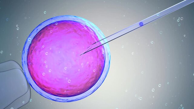 3d rendering ovum with needle for artificial insemination or in vitro fertilization process 4k footage