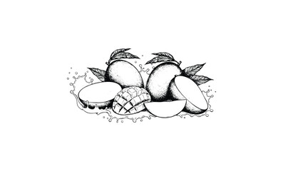 Monochrome drawing of fresh mangoes with leaves and slices. Vector retro hand drawn illustration