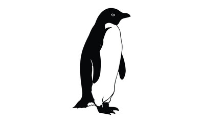 Fototapeta premium Minimalist black and white penguin illustration. Vector retro hand drawn illustration