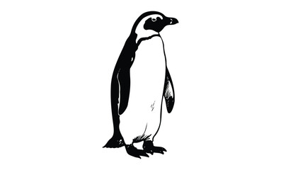 Naklejka premium Monochrome illustration of a standing penguin facing right. Vector retro hand drawn illustration