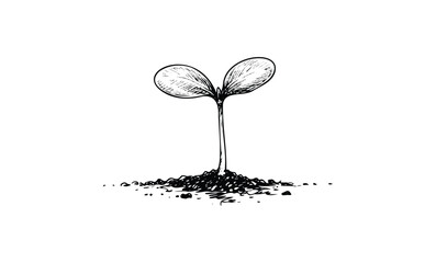 Illustration of seedling growth with two leaves in soil. Vector retro hand drawn illustration