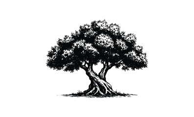 Intricate black and white illustration of a majestic oak tree. Vector retro hand drawn illustration
