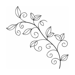 Black vine with leaves and swirls white