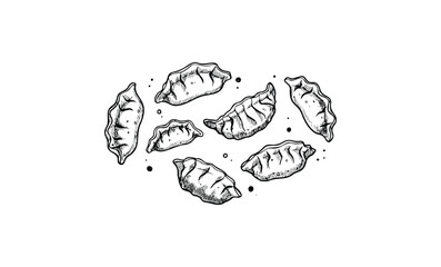 Hand-drawn dumplings illustration with ink details. Vector retro hand drawn illustration