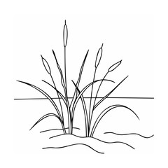 Cattails growing in water reeds bulrushes