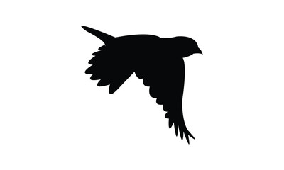 Flying American goldfinch bird Silhouette Design  And Vector Illustration. 
